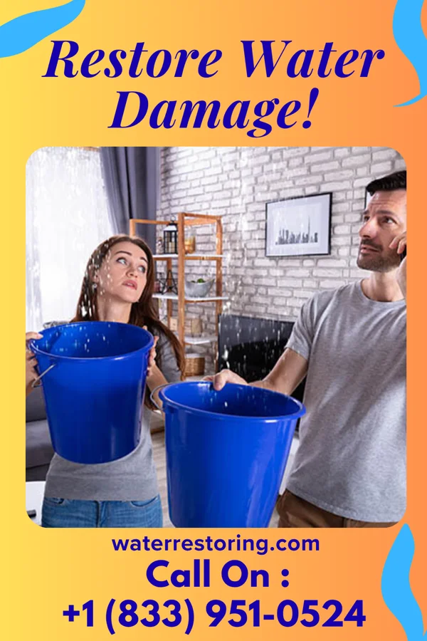 water restoration Galaxy Cleanup Group Livingston