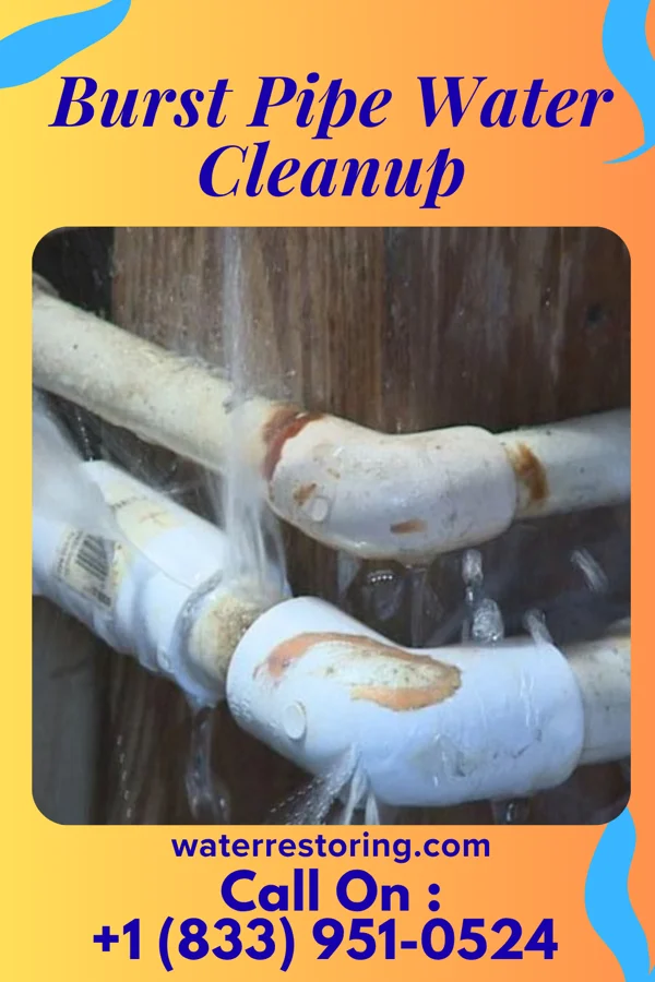 Burst Pipe Water Cleanup in Livingston, KY