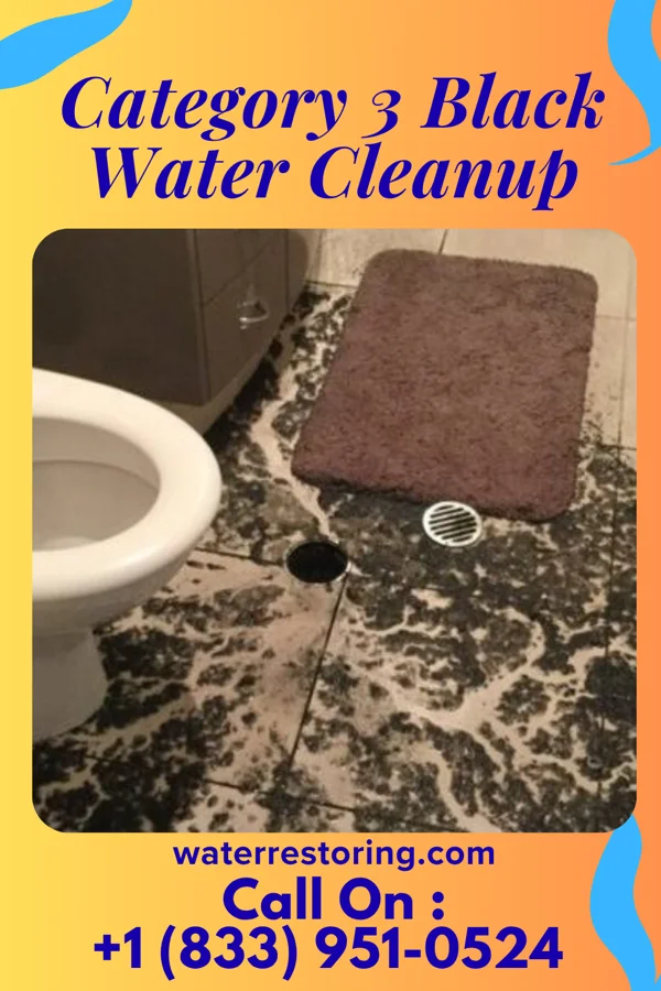 Category 3 Black Water Cleanup in Livingston, KY