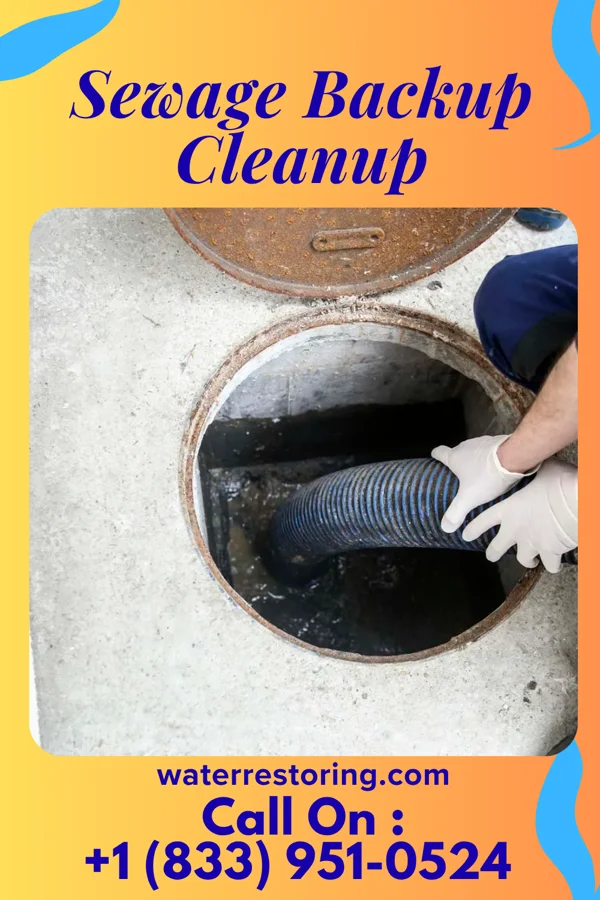 Sewage Backup Cleanup in Livingston, KY